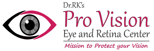 Pro Vision Logo